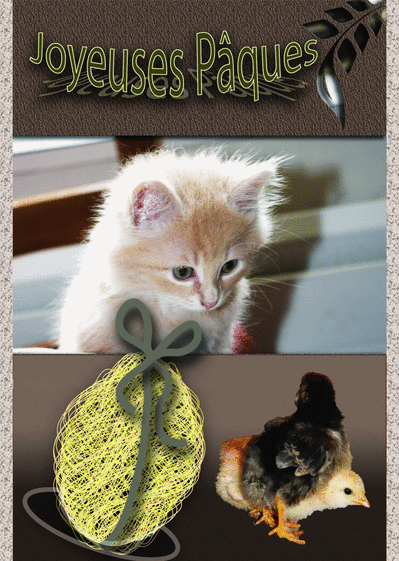 Carte Joyeuses Pâques Petit Chaton : Envoyer une Carte 
